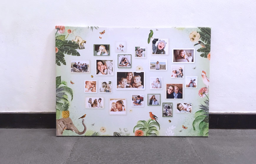 new_photo_collage_design_jungle